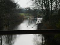 DSCN0382