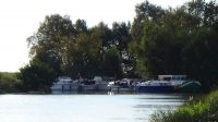 DSC00712
