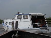 DSCN4201