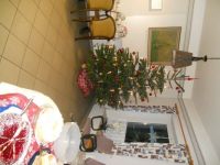 DSCN4969
