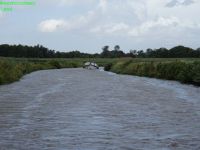 DSC00667