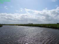 DSC00679