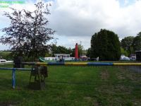DSC00768