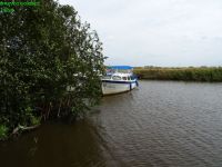DSC00948
