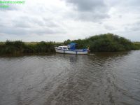 DSC00966