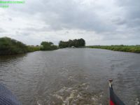 DSC00967