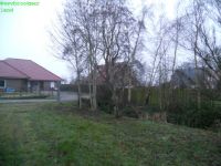 DSCN6170