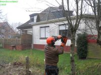 DSCN6192
