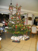 DSCN7096