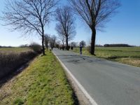 IMG_20220319_145124