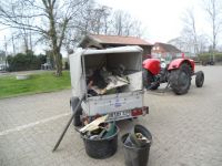 DSCN6449