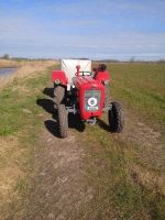 IMG-20220328-WA0004