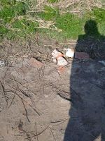 IMG-20220328-WA0008