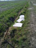 IMG-20220328-WA0010