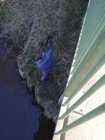 IMG-20220328-WA0024