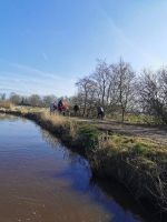 IMG_20220326_095325