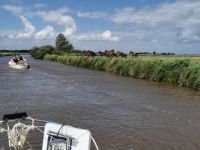 IMG-20230705-WA0067