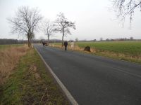 DSCN7838_ergebnis