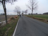 DSCN7856_ergebnis