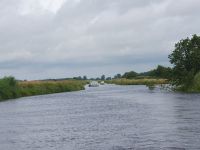 Image_31