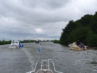 Image_41