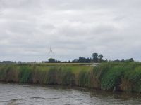 Image_45