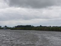 Image_46