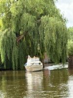 Image_76