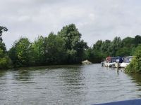 Image_82